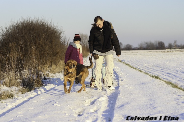 calveciki_luty-16.jpg