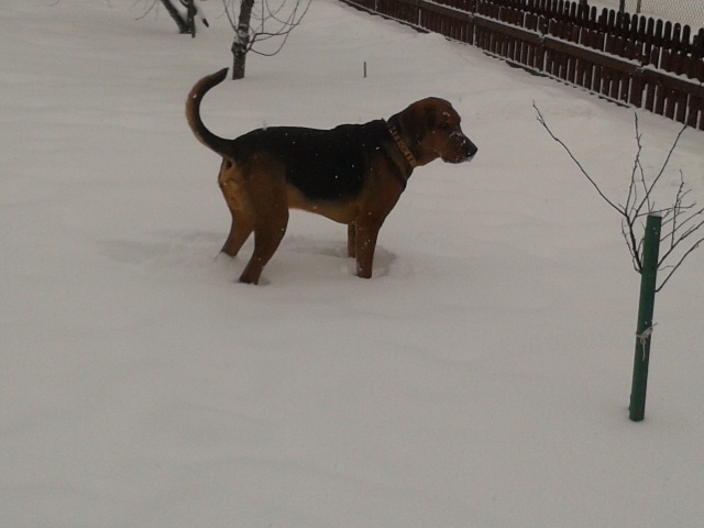 2013-01-23 09.34.34.jpg