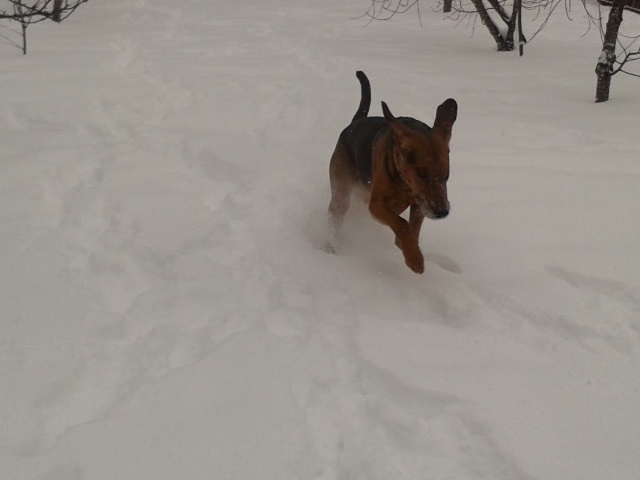 2013-01-23 09.36.23.jpg