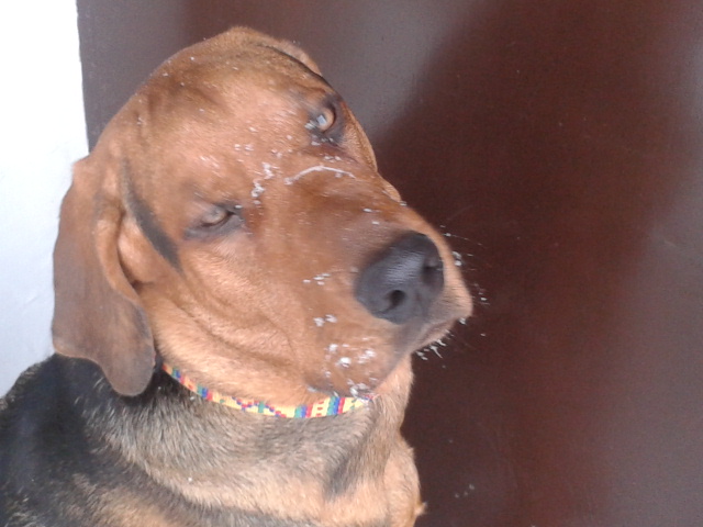 2013-01-23 09.37.55.jpg