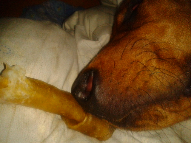 2012-08-30 00.36.32.jpg