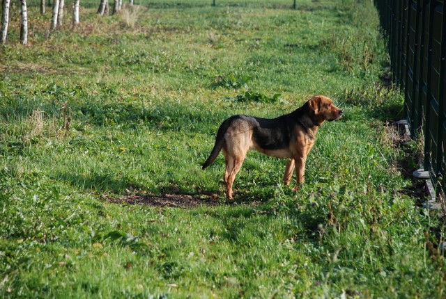 LISTOPAD 2012  (1) (640x430).jpg