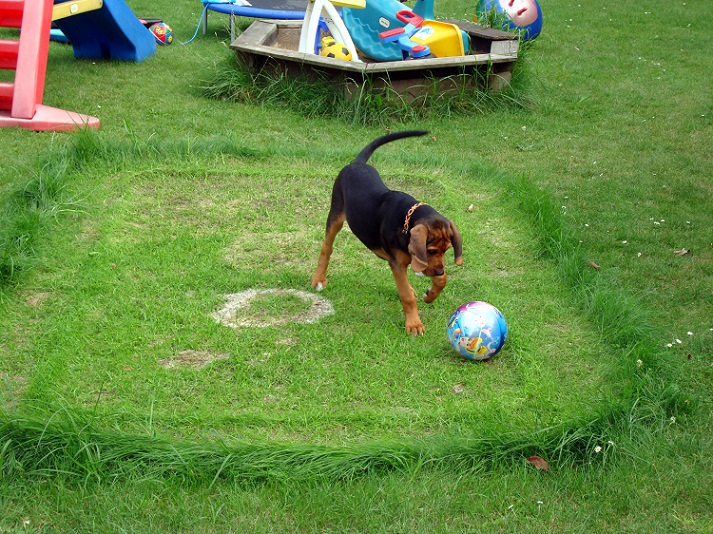 Przygotowania do Euro2012