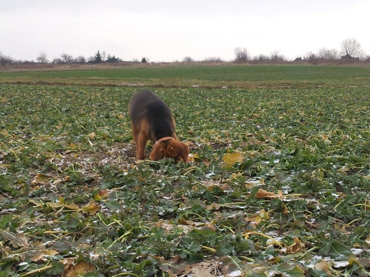 20130210_144552.jpg