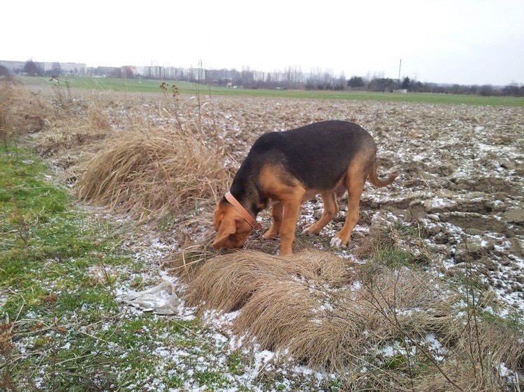 20130210_145343.jpg