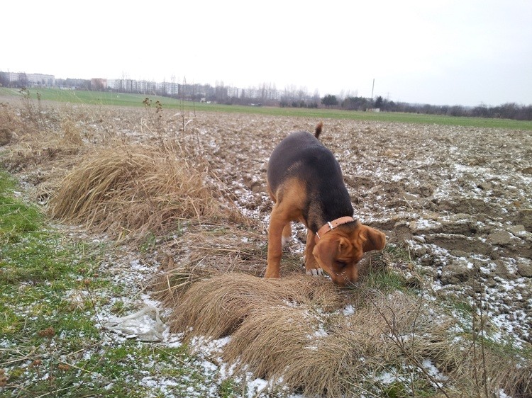 20130210_145349.jpg