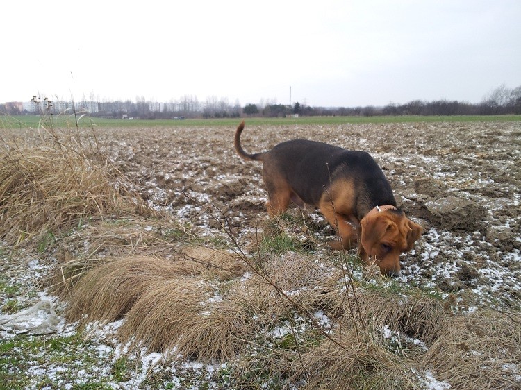 20130210_145356.jpg