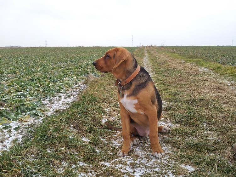 20130210_150121.jpg