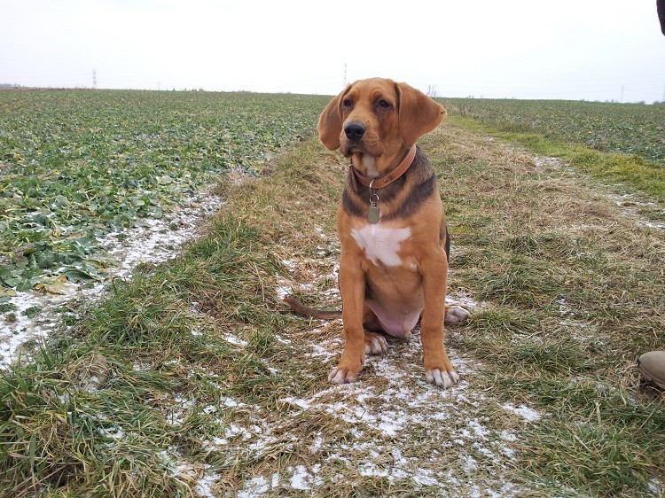 20130210_150128.jpg