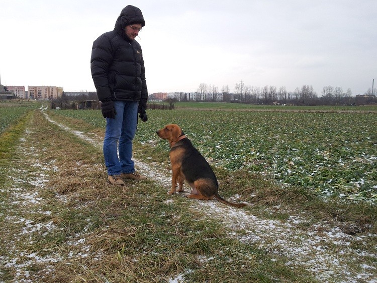 20130210_150039.jpg