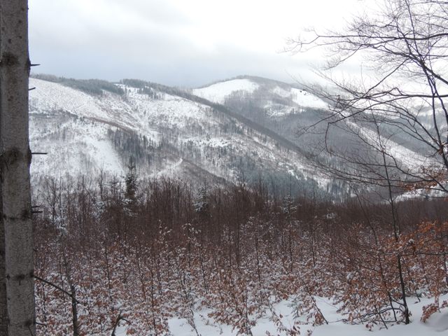widoki