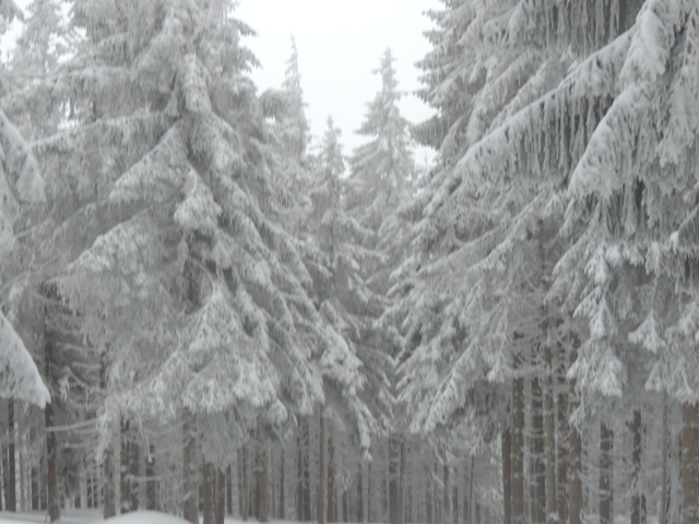 DSCN0293.JPG