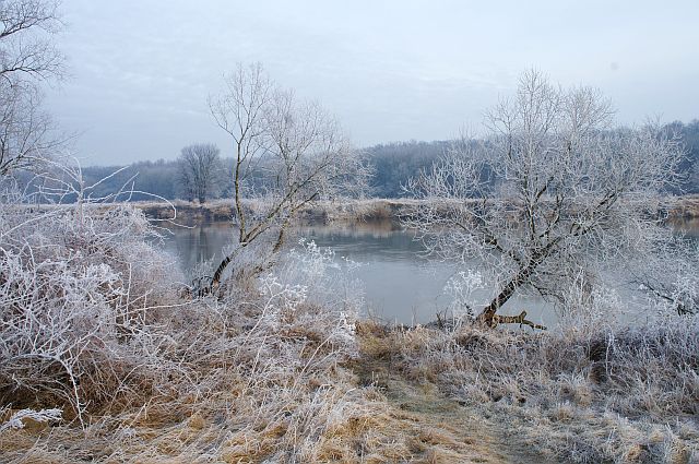 DSC06001.JPG