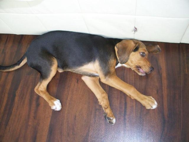 100_4114.jpg