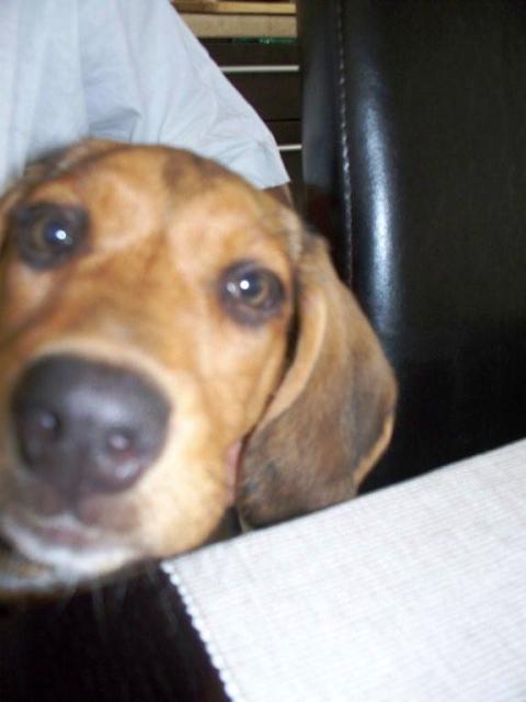 100_4115.jpg