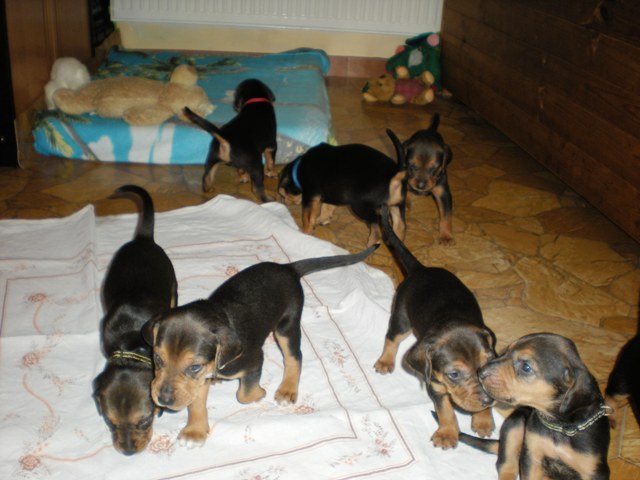 miot S grupowe 26 dzień 3.jpg