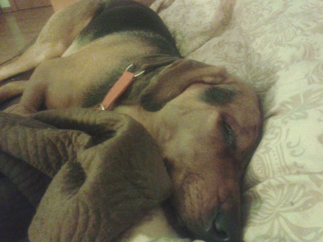 2013-02-24 00.34.05.jpg