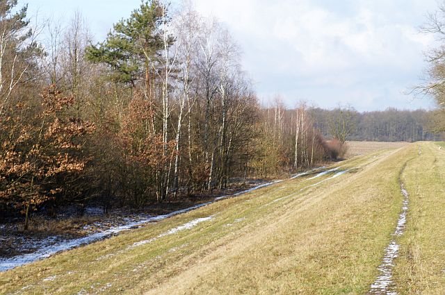 Tu powitał nas zajączek. Jak Jagoda cykała to zdjęcie to już schował się do pobliskiego lasku.