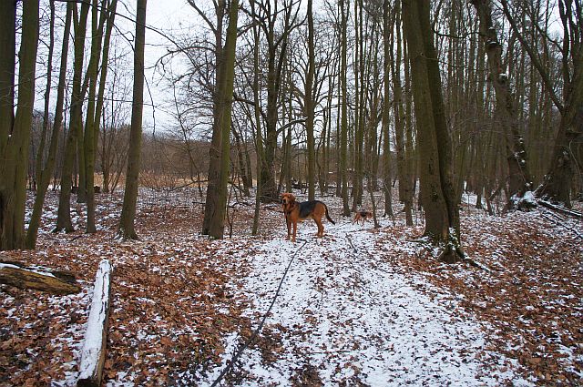 No Pańcie, ile można na was czekać, żwawiej się ruszajcie.
