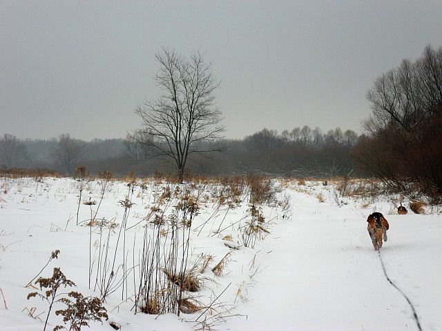 SAM_2440.JPG