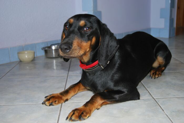 Obraz 003.jpg