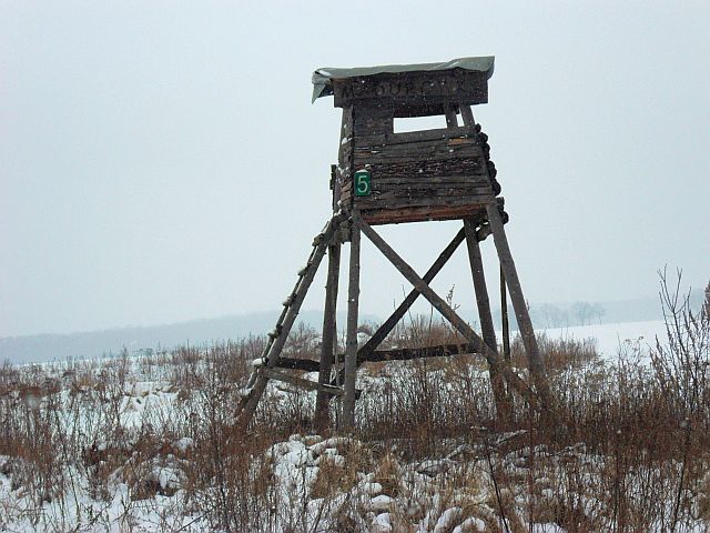 SAM_2529.JPG