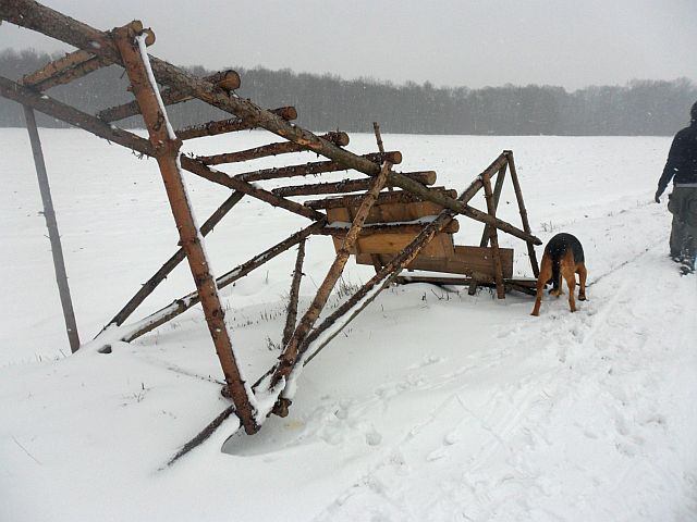 SAM_2544.JPG