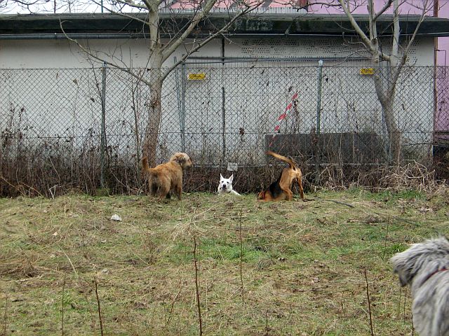2013-03-03 2013-03-03 001 050.JPG