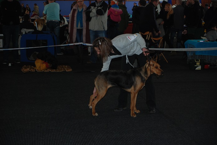 Orla