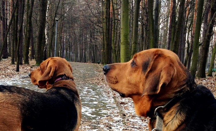 Nikogo nie ma .... za wcześnie chyba ..