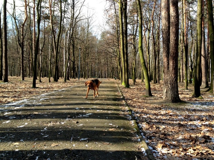 Pani woła, trzeba lecieć :)