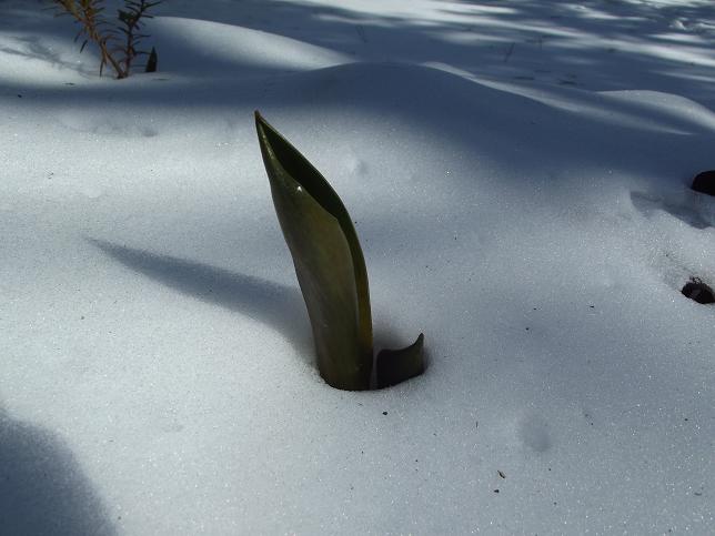 DSCF1168.JPG