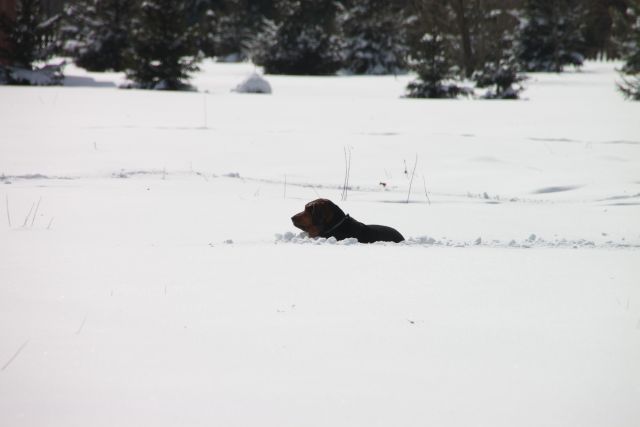 IMG_6106.jpg