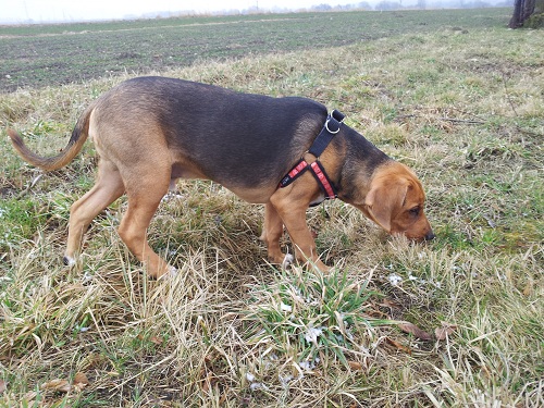 20130312_130743.jpg