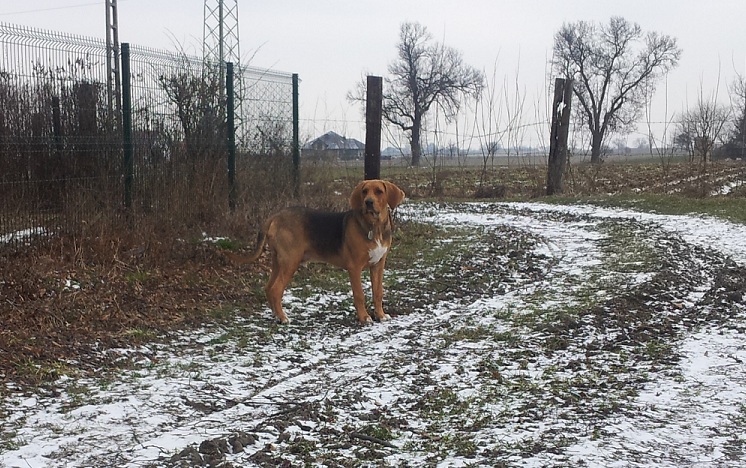 20130314_122944.jpg
