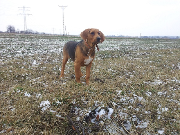 20130314_123227.jpg