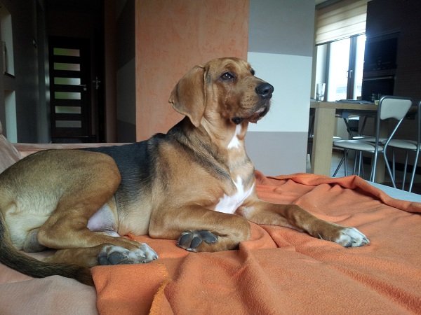 20130314_132512.jpg
