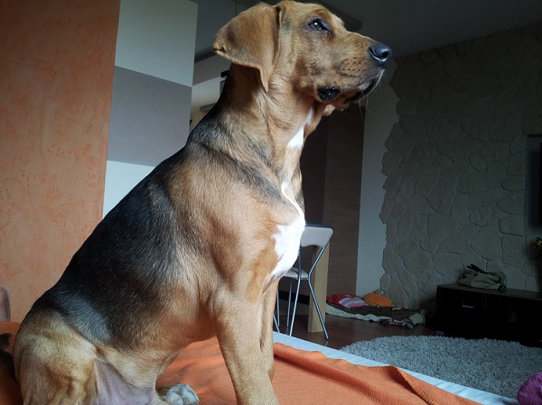 20130314_132523.jpg