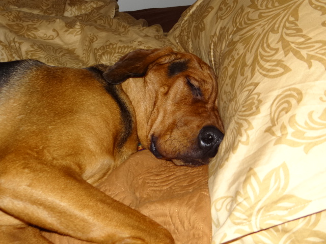 DSC00287.JPG