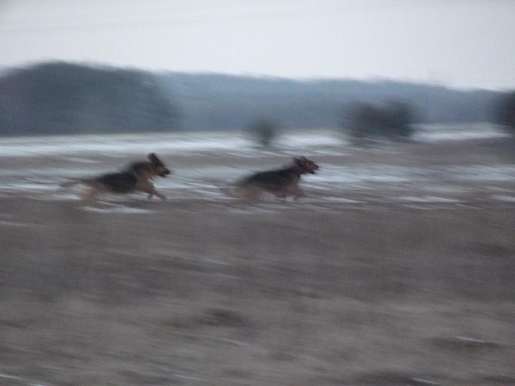 DSCF1332.JPG