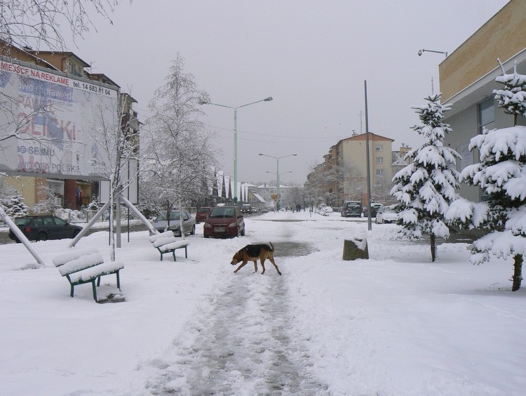 Widok na wiosenną, główną ulicę osiedla...