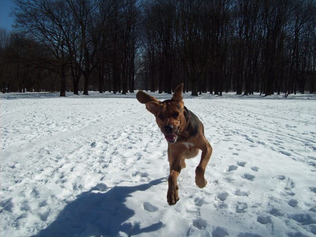 100_6608.JPG