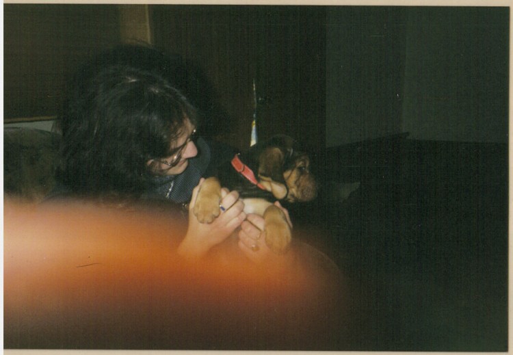 mała Chimera.jpg