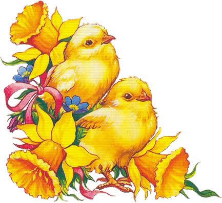 image001.jpg