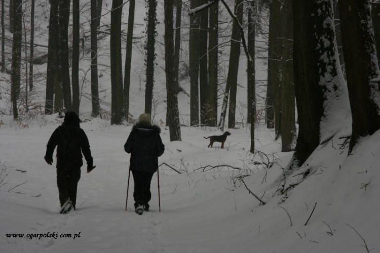 Potem długi,