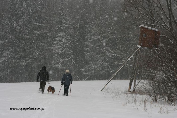 śnieżny
