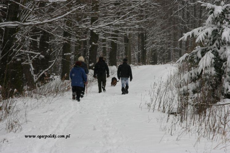 Pogoda trochę lepsza bo nie śnieżyło tak mocno.