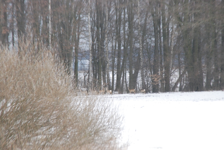 DSC_0002.JPG