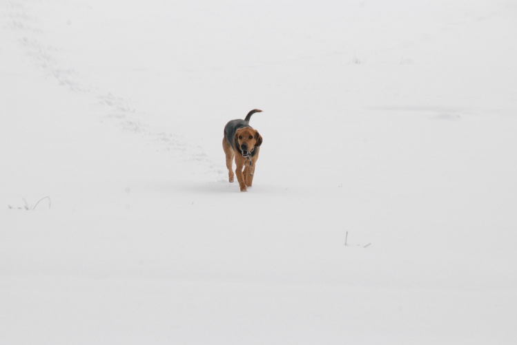DSC_0006.JPG