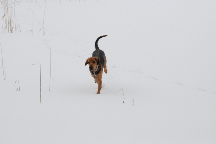 DSC_0009.JPG